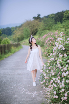 妖狐x仆ss主题曲