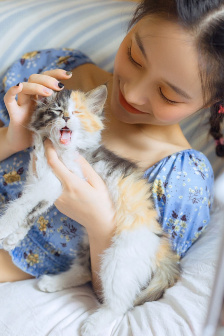 三龙入菊互攻攻后面也有